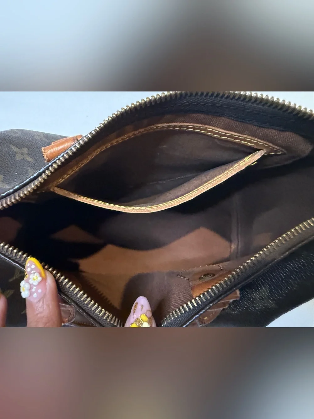 LV SPEEDY 25 (Louis Vuitton)